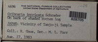 Image Associated With the Occurence